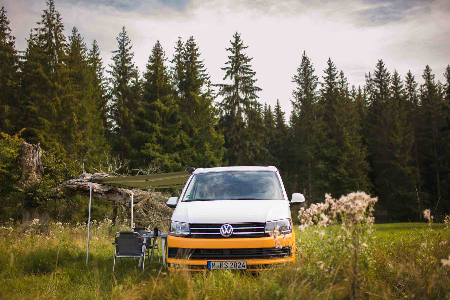 VW California en Forêt Noire