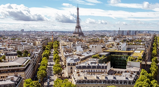 Picture overlooking Paris and its buildings with a perfect view of the Eiffel Tower on a sunny day.