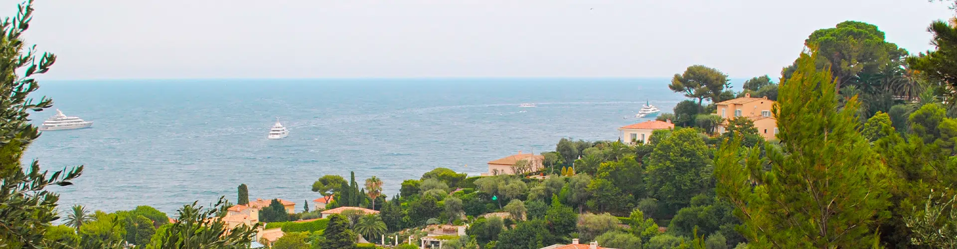 Bird view over the sea in France overlooking green trees and a few houses