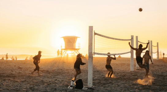 Palm trees lining a wide sandy beach near the ocean at sunset, capturing the iconic atmosphere of the best beaches in Los Angeles