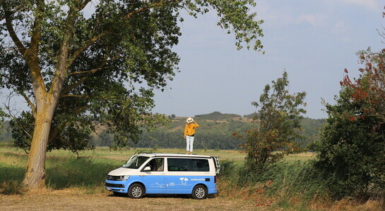 Woman standing on the top of a VW campervan looking to the horizon
