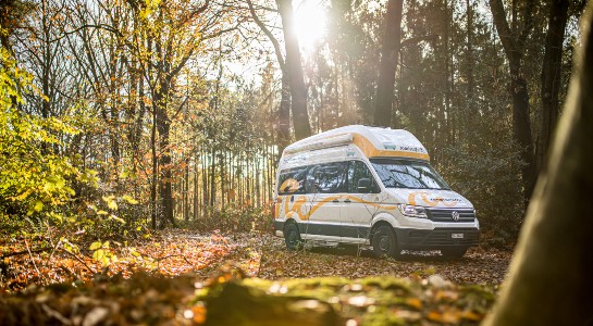 White and yellow Grand California camper standing in the forest
