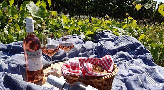 Picknickdecke mit zwei Weingläsern, Roséwein und Baguette mitten im Weingarten