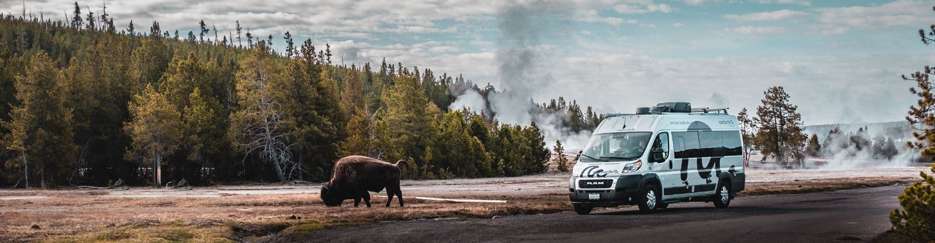 RV parked near wildlife in Yellowstone, showing why a smaller vehicle is the best RV size for national parks