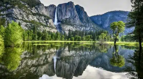 osemite Falls reflected in a calm meadow pool surrounded by green trees